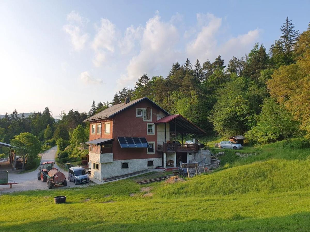 Ferienwohnung Apartma Narava Begunje pri Cerknici Exterior foto